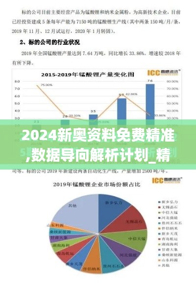 2024新奥资料免费精准,数据导向解析计划_精装版1.461