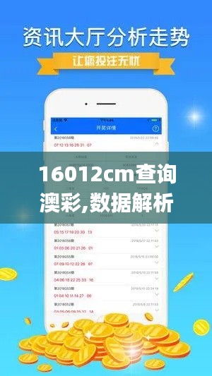 16012cm查询澳彩,数据解析计划导向_XP5.290