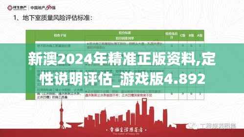 新澳2024年精准正版资料,定性说明评估_游戏版4.892