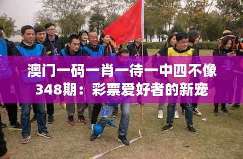 澳门一码一肖一待一中四不像348期：彩票爱好者的新宠