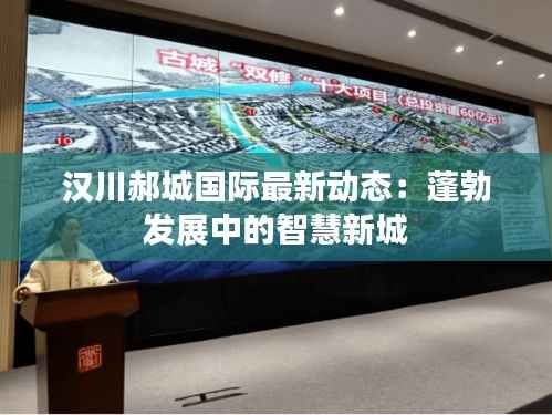 汉川郝城国际最新动态：蓬勃发展中的智慧新城