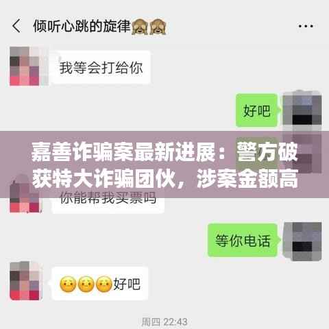 嘉善诈骗案最新进展：警方破获特大诈骗团伙，涉案金额高达数亿元