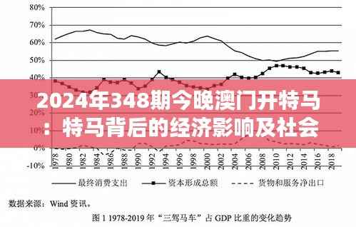 2024年348期今晚澳门开特马：特马背后的经济影响及社会问题