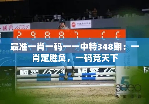 最准一肖一码一一中特348期：一肖定胜负，一码竞天下