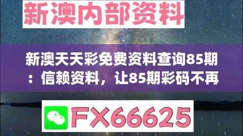 新澳天天彩免费资料查询85期：信赖资料，让85期彩码不再是谜