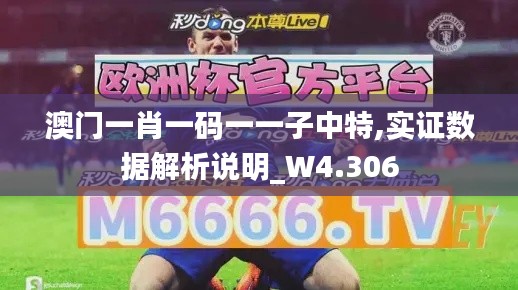 澳门一肖一码一一子中特,实证数据解析说明_W4.306