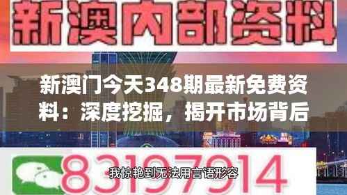 新澳门今天348期最新免费资料：深度挖掘，揭开市场背后的秘密