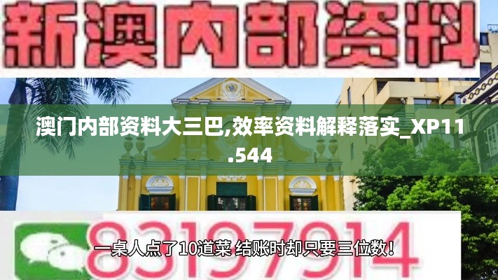 澳门内部资料大三巴,效率资料解释落实_XP11.544