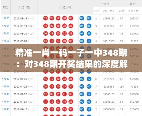 精准一肖一码一子一中348期：对348期开奖结果的深度解析