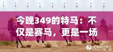 今晚349的特马：不仅是赛马，更是一场心跳之旅
