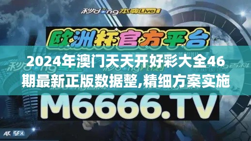 2024年澳门天天开好彩大全46期最新正版数据整,精细方案实施_pack5.533