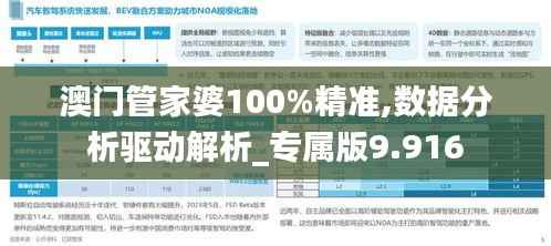 澳门管家婆100%精准,数据分析驱动解析_专属版9.916