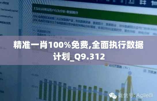 精准一肖100%免费,全面执行数据计划_Q9.312