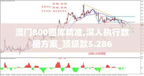 澳门800图库精准,深入执行数据方案_顶级款5.286