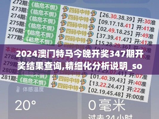 2024澳门特马今晚开奖347期开奖结果查询,精细化分析说明_soft7.145