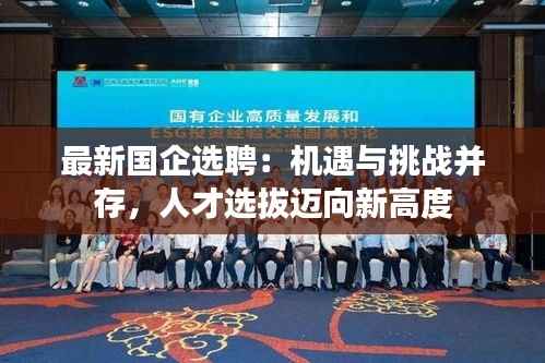 最新国企选聘：机遇与挑战并存，人才选拔迈向新高度