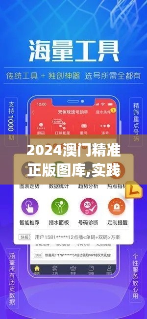 2024澳门精准正版图库,实践计划推进_BT18.320