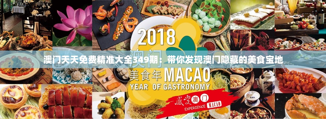 澳门天天免费精准大全349期：带你发现澳门隐藏的美食宝地