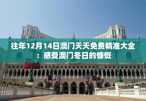 往年12月14日澳门天天免费精准大全：感受澳门冬日的慷慨