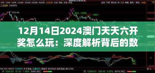 12月14日2024澳门天天六开奖怎么玩：深度解析背后的数学原理