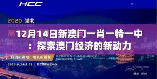 12月14日新澳门一肖一特一中：探索澳门经济的新动力