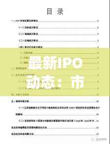 最新IPO动态：市场新星的崛起与投资机遇