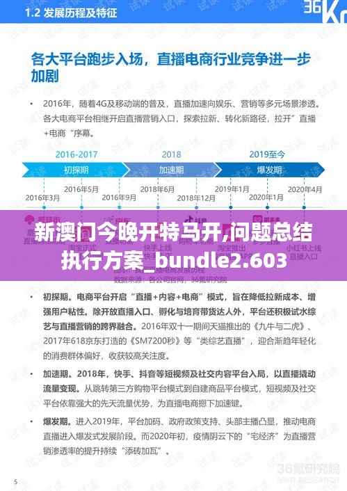 新澳门今晚开特马开,问题总结执行方案_bundle2.603