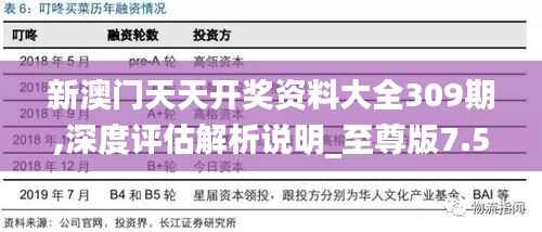 新澳门天天开奖资料大全309期,深度评估解析说明_至尊版7.533