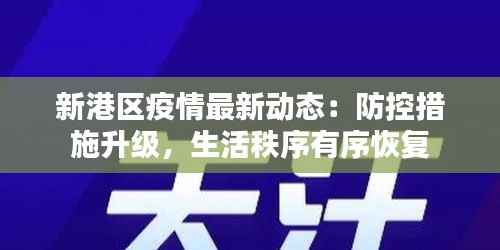 新港区疫情最新动态：防控措施升级，生活秩序有序恢复