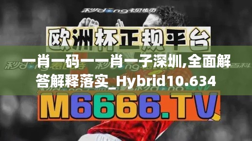 一肖一码一一肖一子深圳,全面解答解释落实_Hybrid10.634