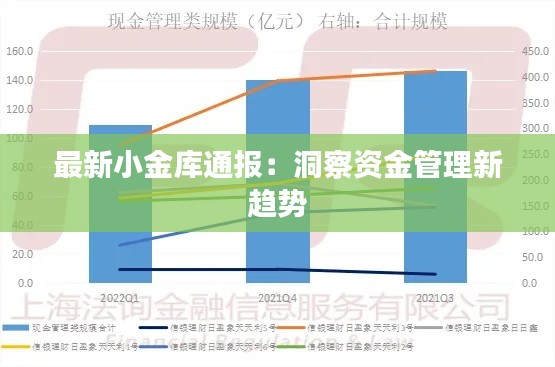 最新小金库通报：洞察资金管理新趋势