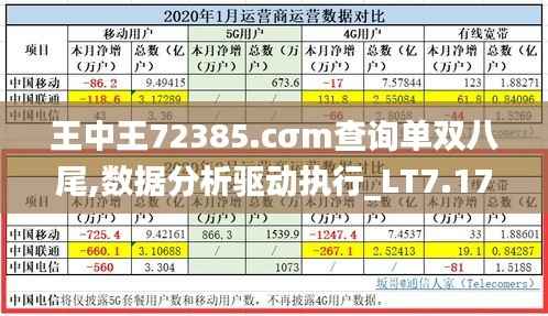 王中王72385.cσm查询单双八尾,数据分析驱动执行_LT7.179