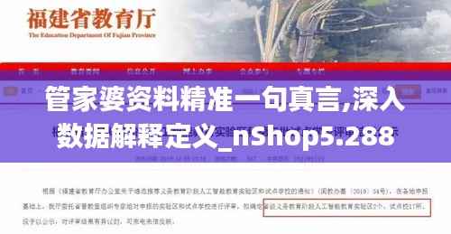 管家婆资料精准一句真言,深入数据解释定义_nShop5.288