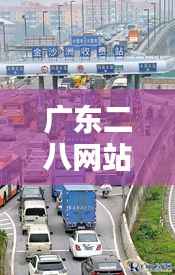 广东二八网站资料站：信息汇总的桥梁，粤联网上的瑰宝