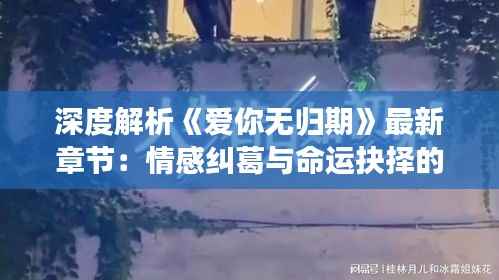 深度解析《爱你无归期》最新章节：情感纠葛与命运抉择的交织