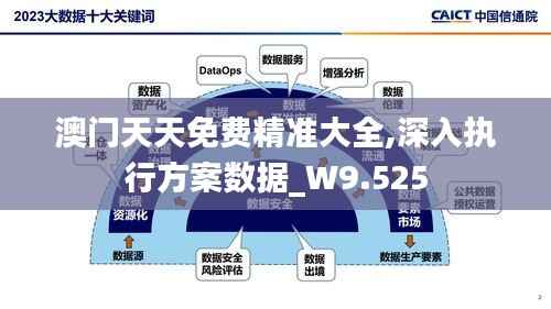 澳门天天免费精准大全,深入执行方案数据_W9.525