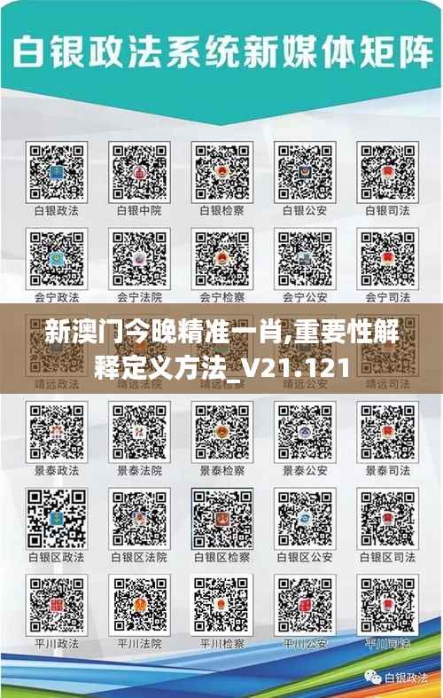 新澳门今晚精准一肖,重要性解释定义方法_V21.121