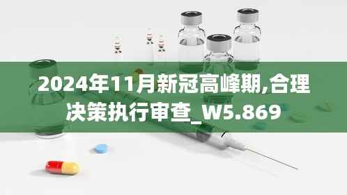 2024年11月新冠高峰期,合理决策执行审查_W5.869