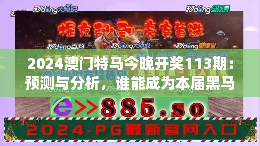 2024澳门特马今晚开奖113期：预测与分析，谁能成为本届黑马？