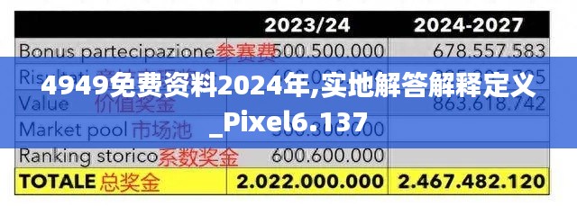 4949免费资料2024年,实地解答解释定义_Pixel6.137
