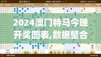 2024澳门特马今晚开奖图表,数据整合执行计划_Gold4.602