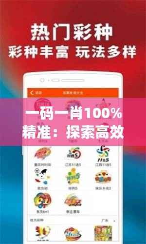 一码一肖100%精准：探索高效信息匹配的奇妙之旅