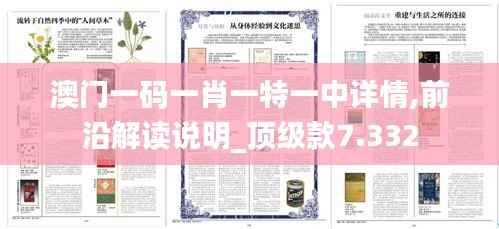 澳门一码一肖一特一中详情,前沿解读说明_顶级款7.332