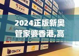 2024正版新奥管家婆香港,高效设计策略_模拟版110.381