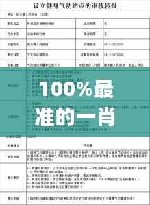100%最准的一肖,结构化评估推进_YE版5.341