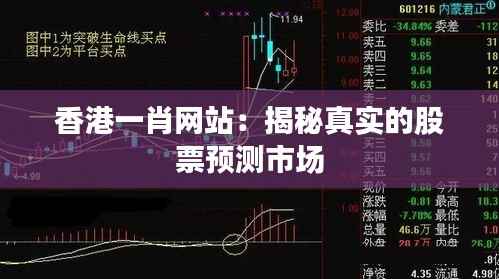 香港一肖网站：揭秘真实的股票预测市场