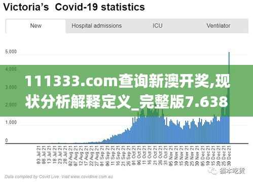 111333.соm查询新澳开奖,现状分析解释定义_完整版7.638