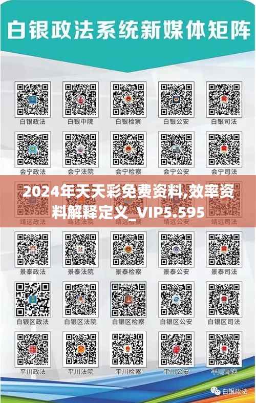 2024年天天彩免费资料,效率资料解释定义_VIP5.595