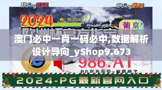 澳门必中一肖一码必中,数据解析设计导向_yShop9.673