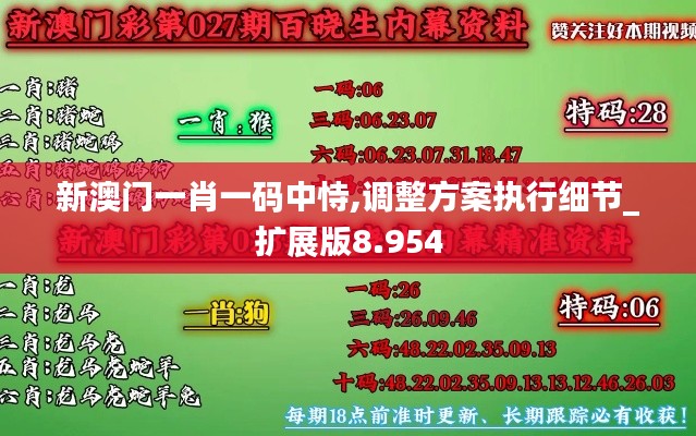 新澳门一肖一码中恃,调整方案执行细节_扩展版8.954
